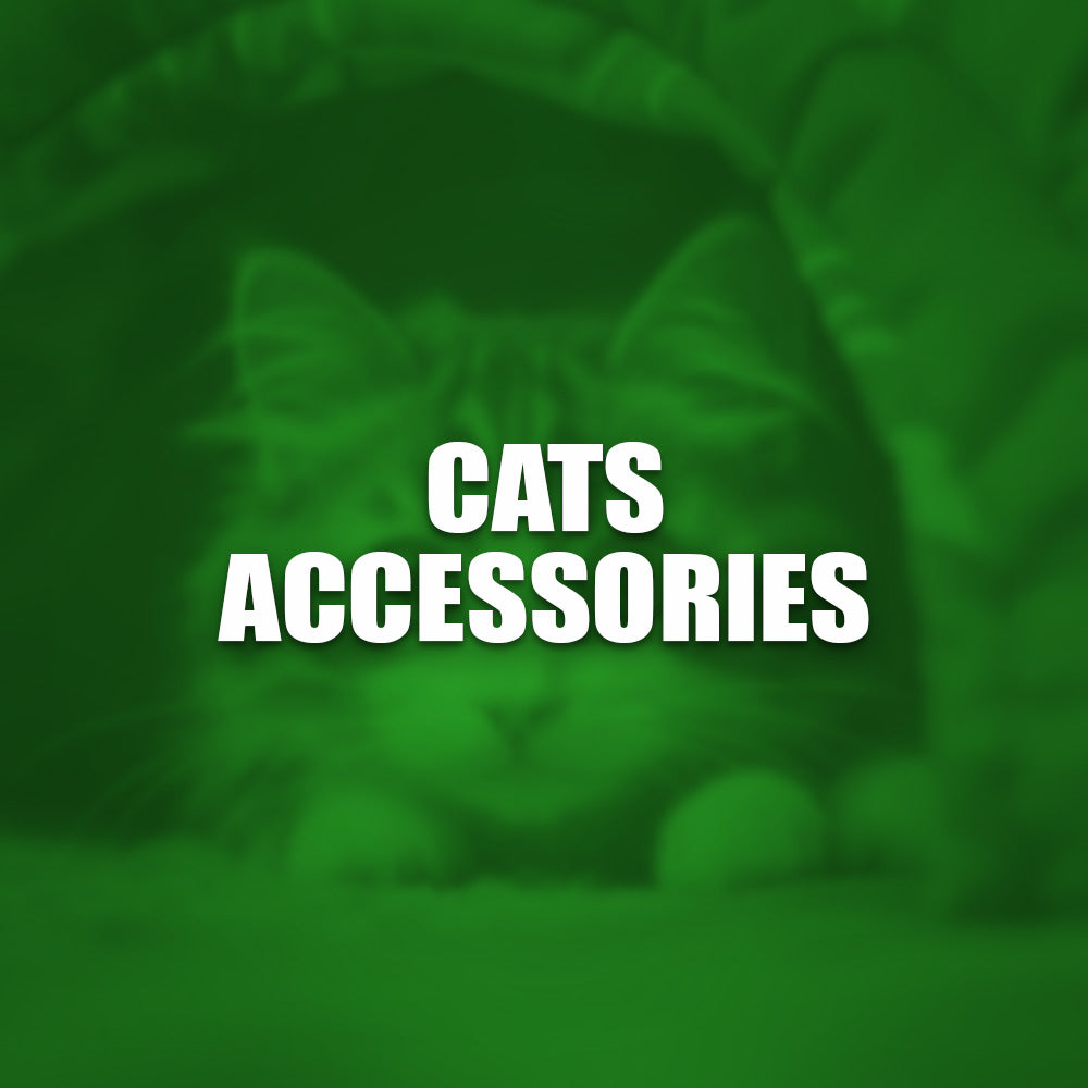 Cats Accessories