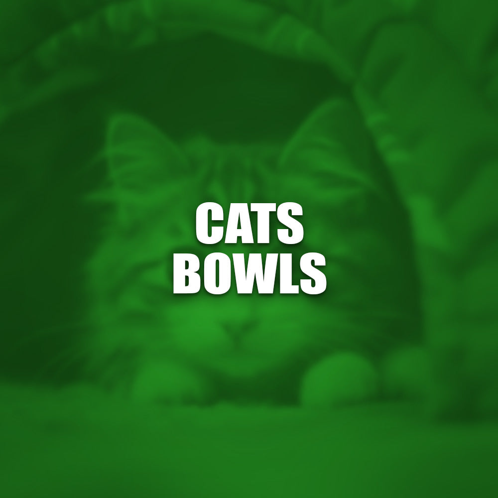 Cats Bowls