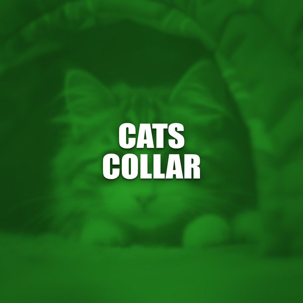 Cats Collar