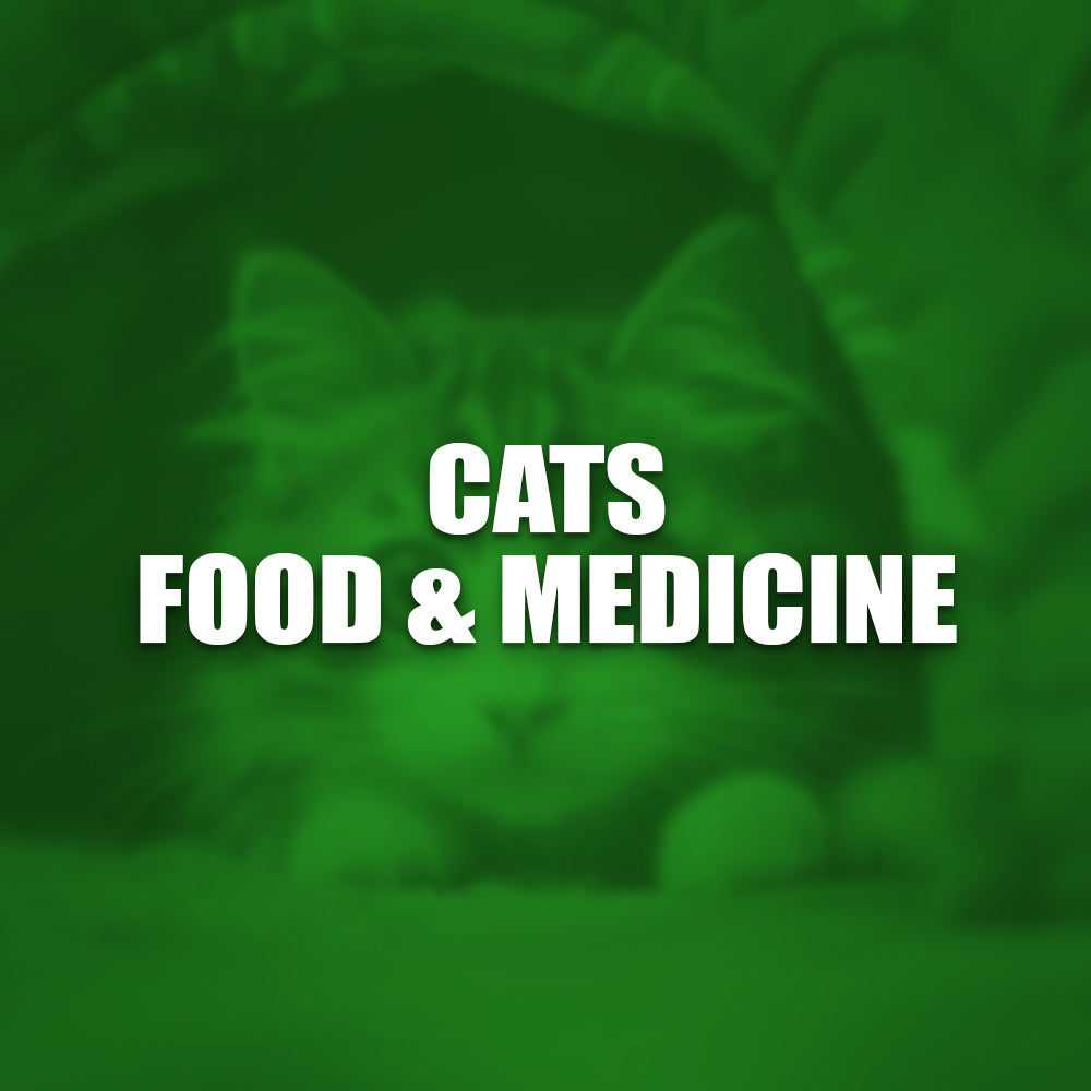 Cats Food & Medicines