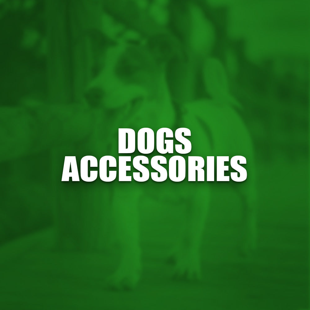 Dogs Accessories