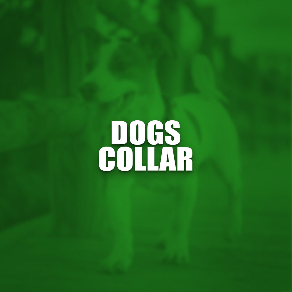 Dogs Collar